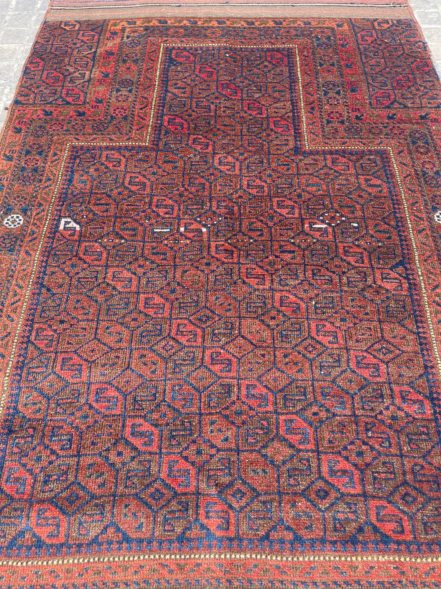 DOKHTAR-E GHAZI BALUCH