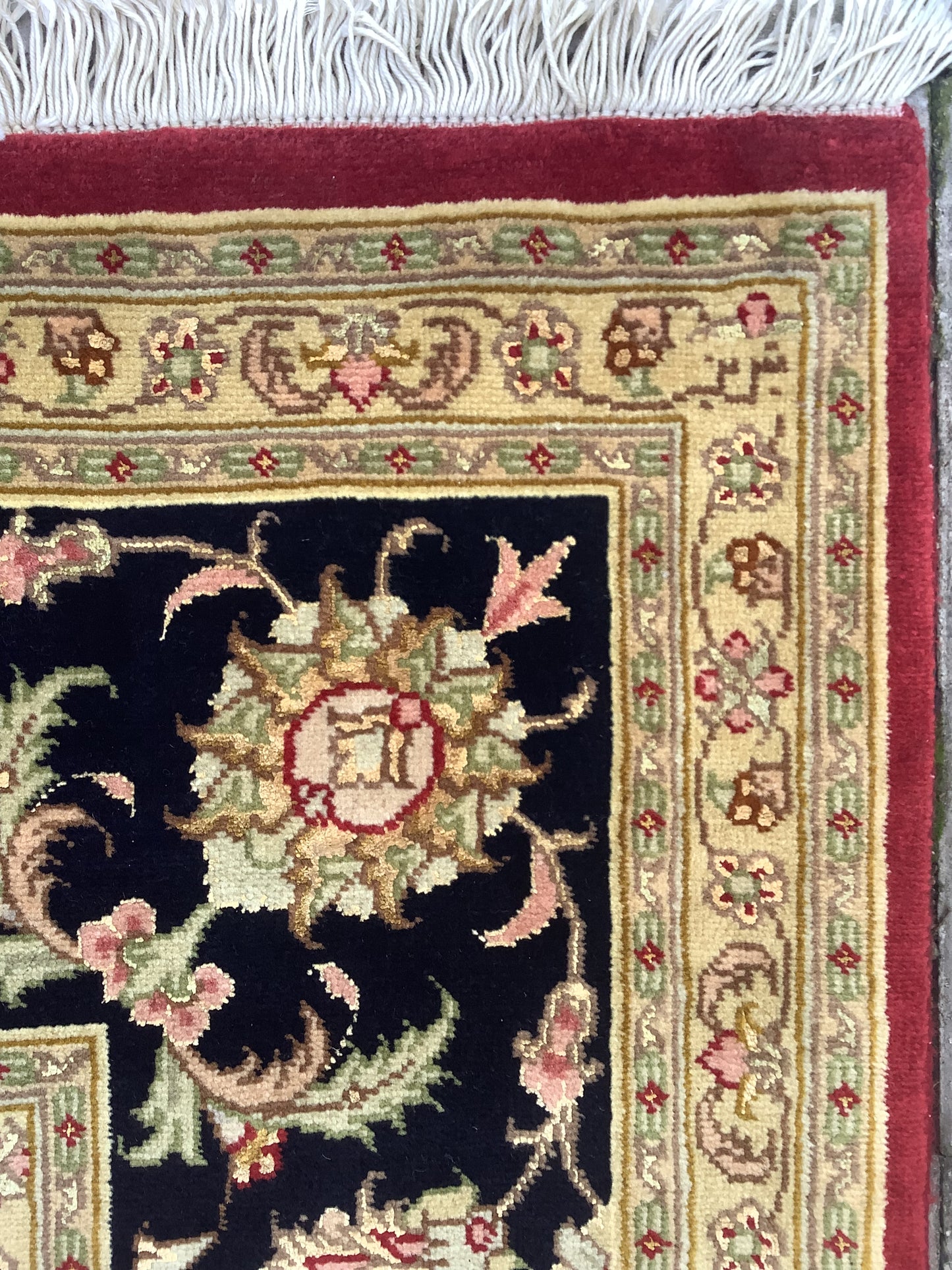 LOTUS POCUS
