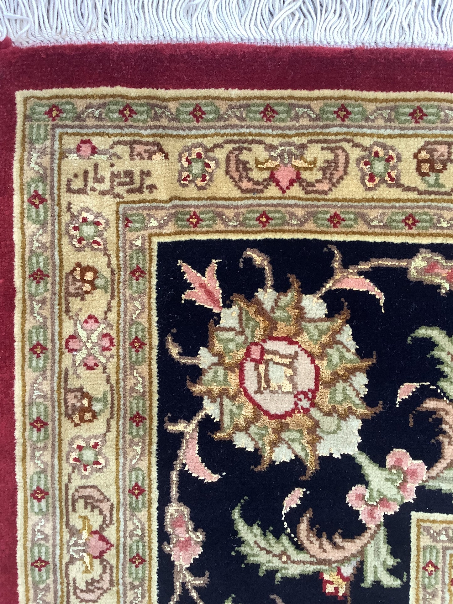 LOTUS POCUS