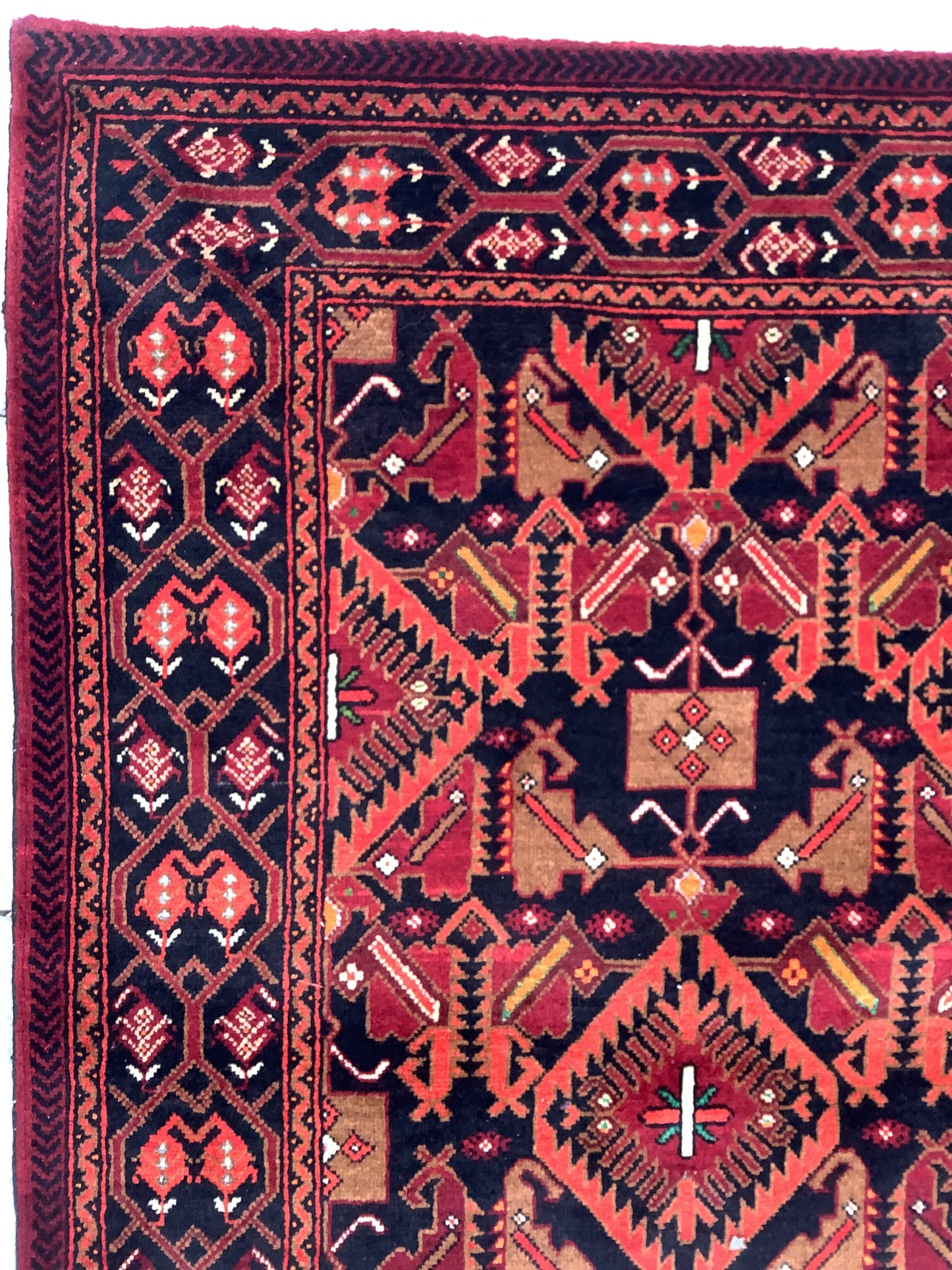 XXL HERATI BALUCH
