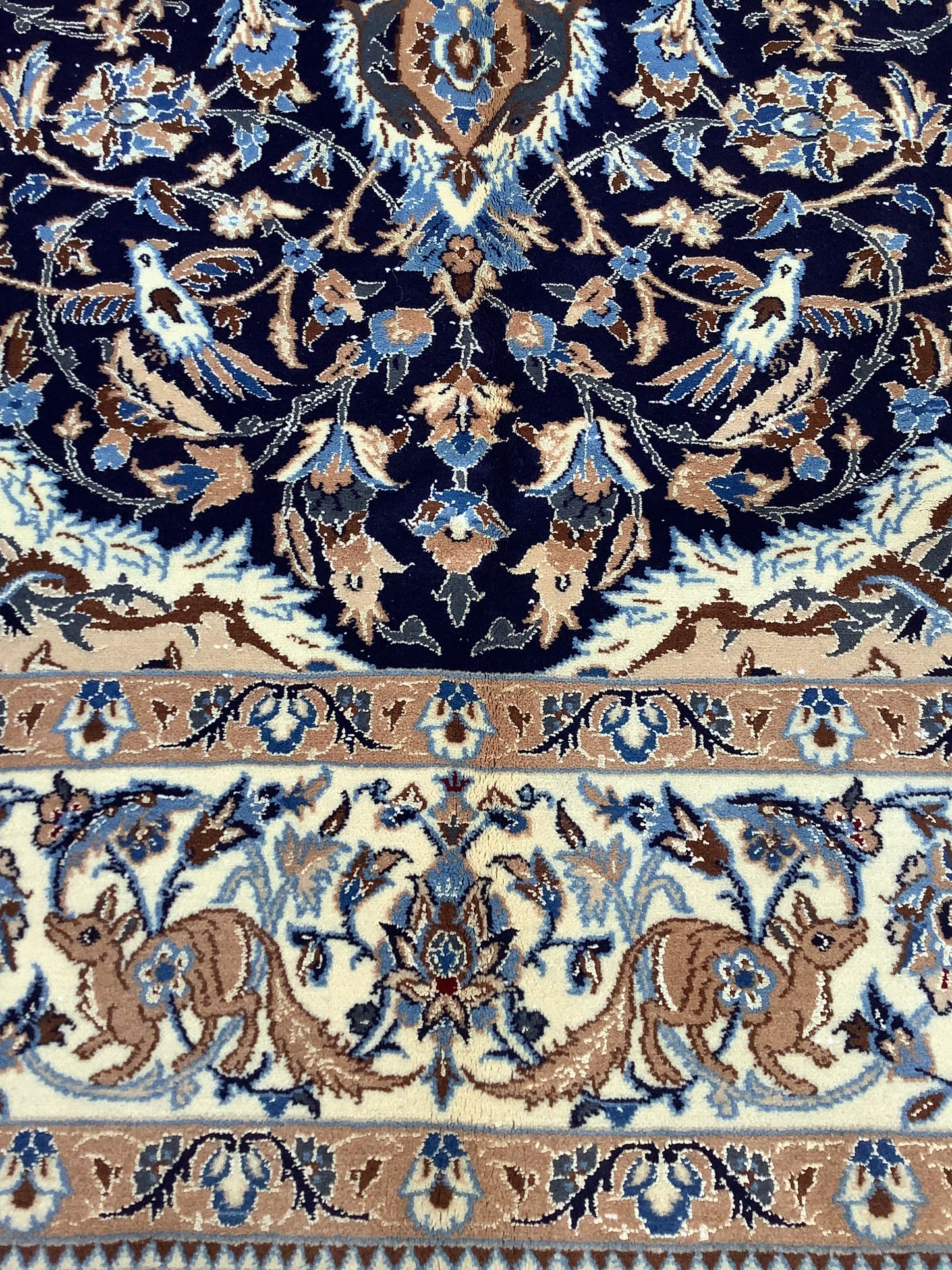 BIRDS AND DEER