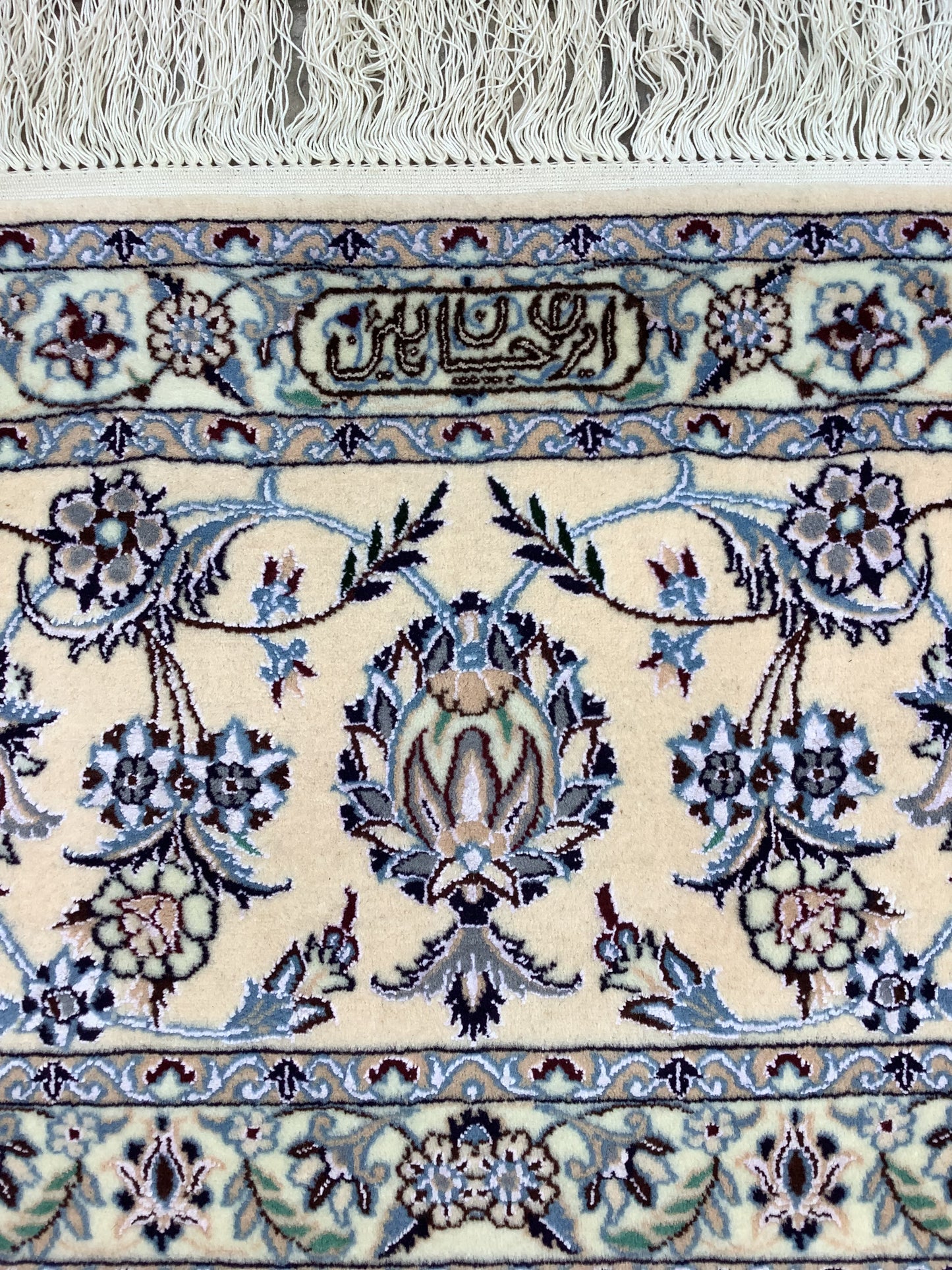 EXQUISITE ALL OVER