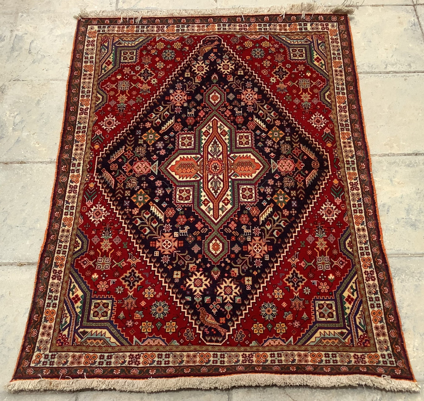 QASHQAI RARE ZARONIM