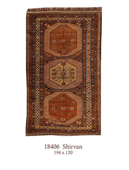 GOLDEN OLDIE SHIRVAN