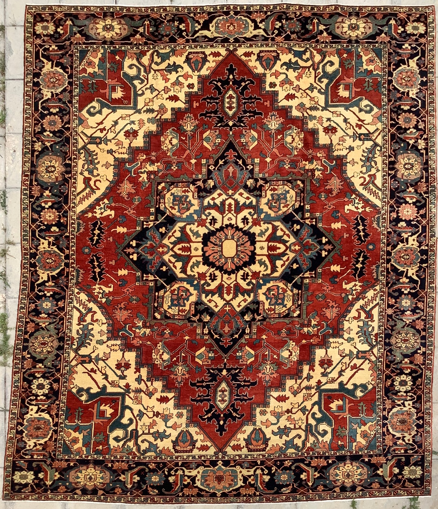 Fine Serapi