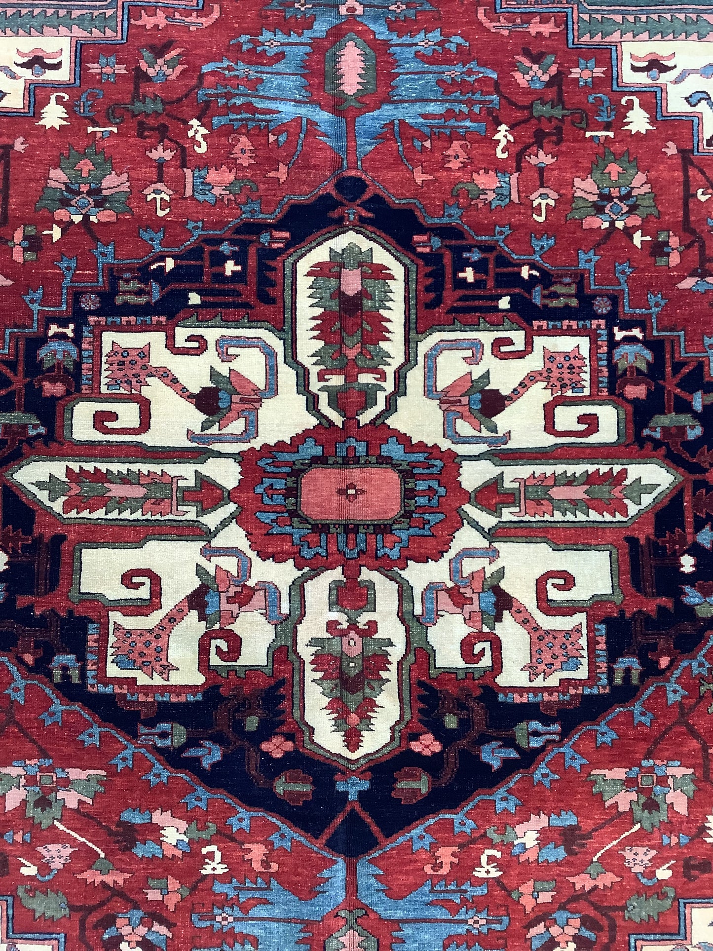 Fine Serapi