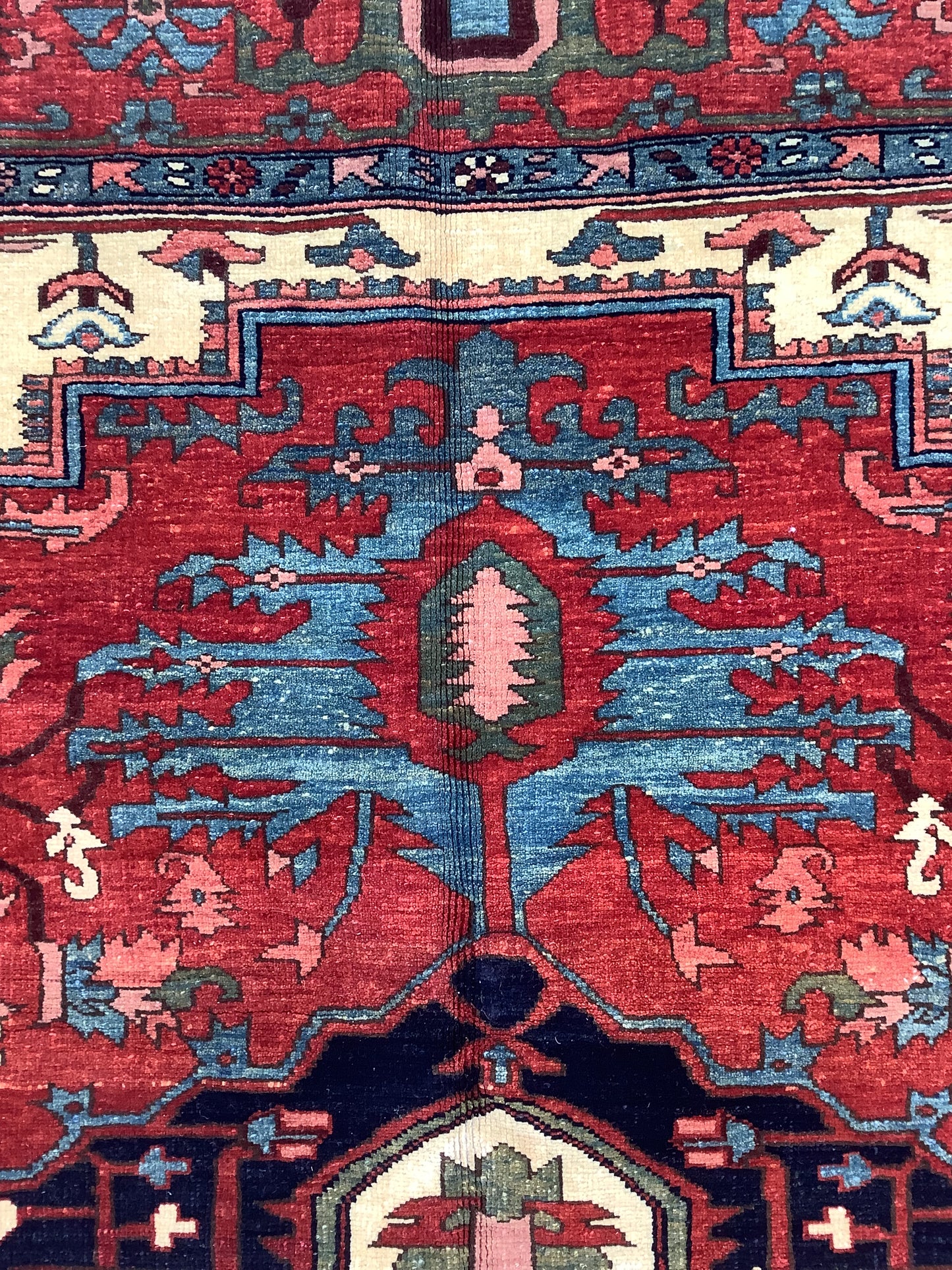 Fine Serapi
