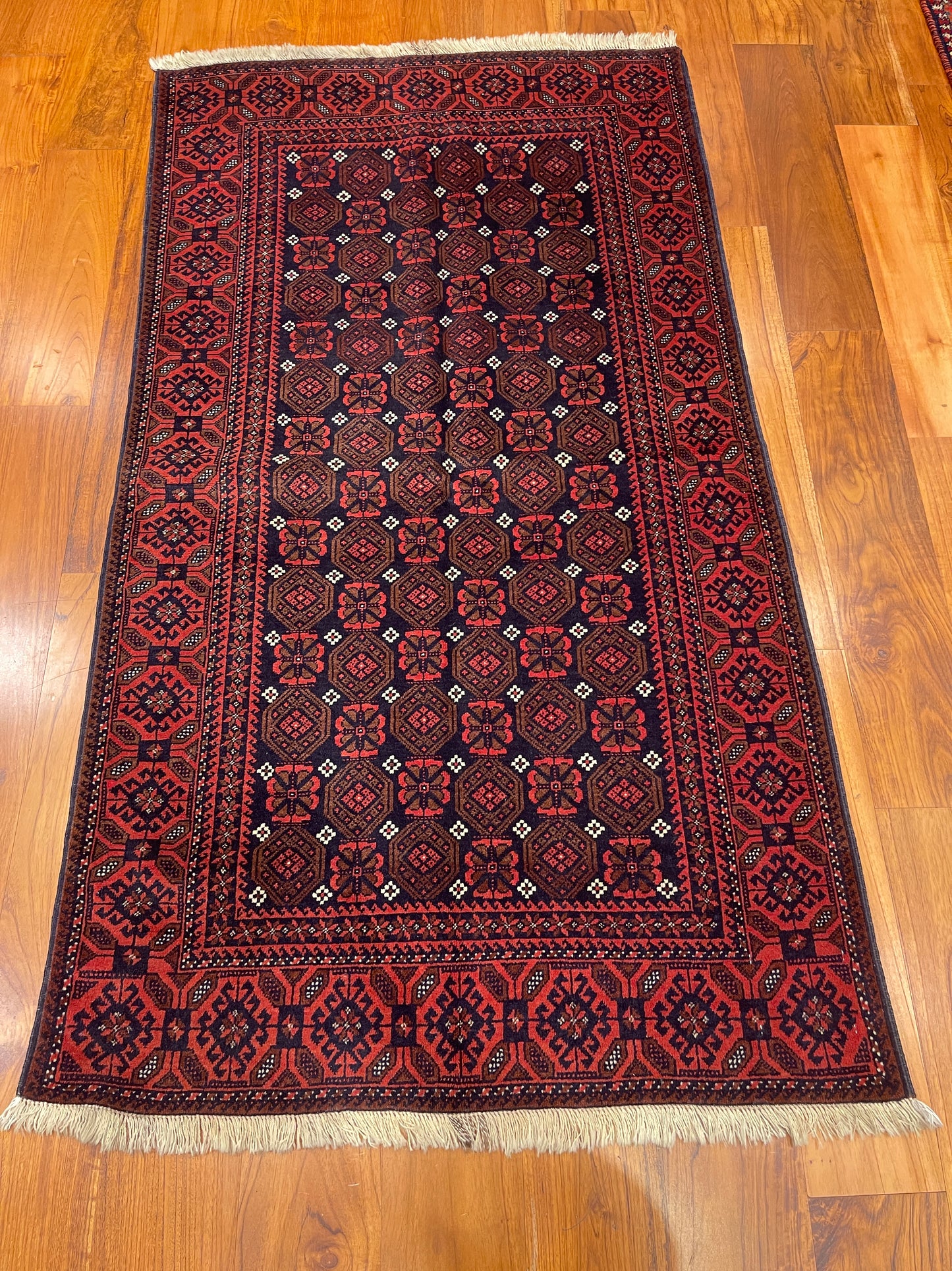 MINA KHANI BALUCH