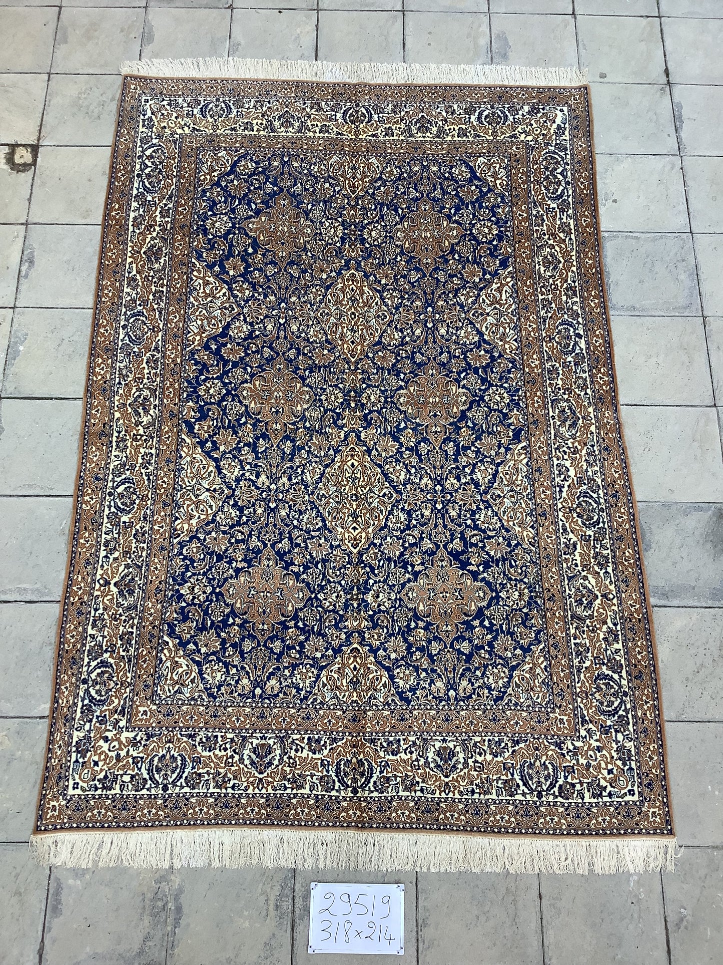 TURQUOISE NAIN DREAM