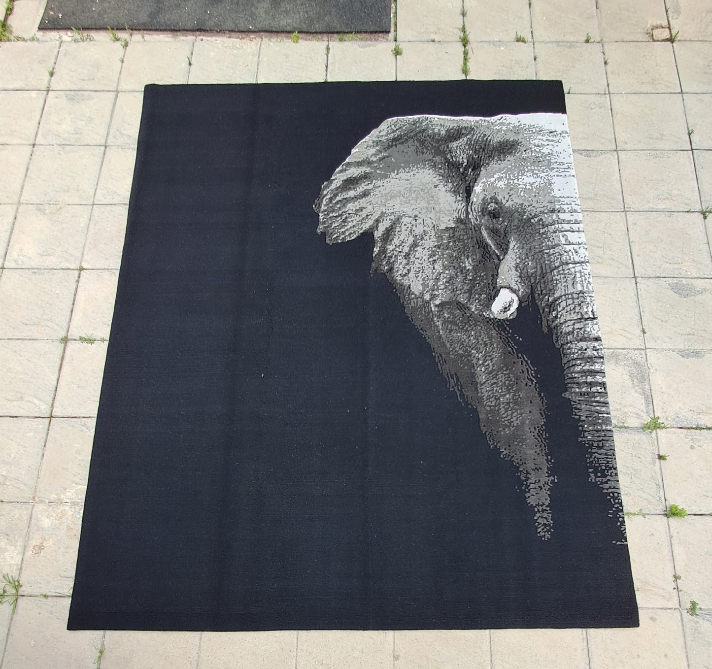 THE HALF ELEPHANT