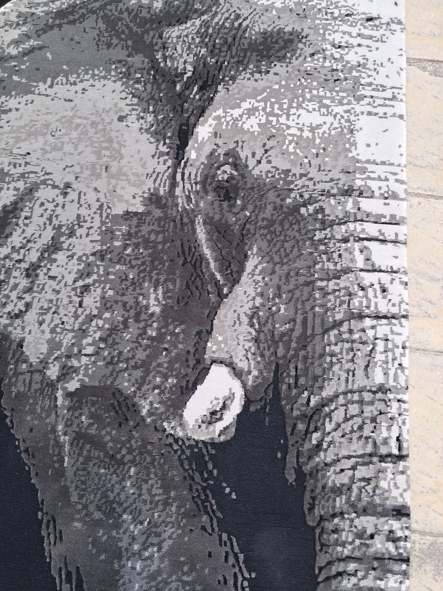 THE HALF ELEPHANT
