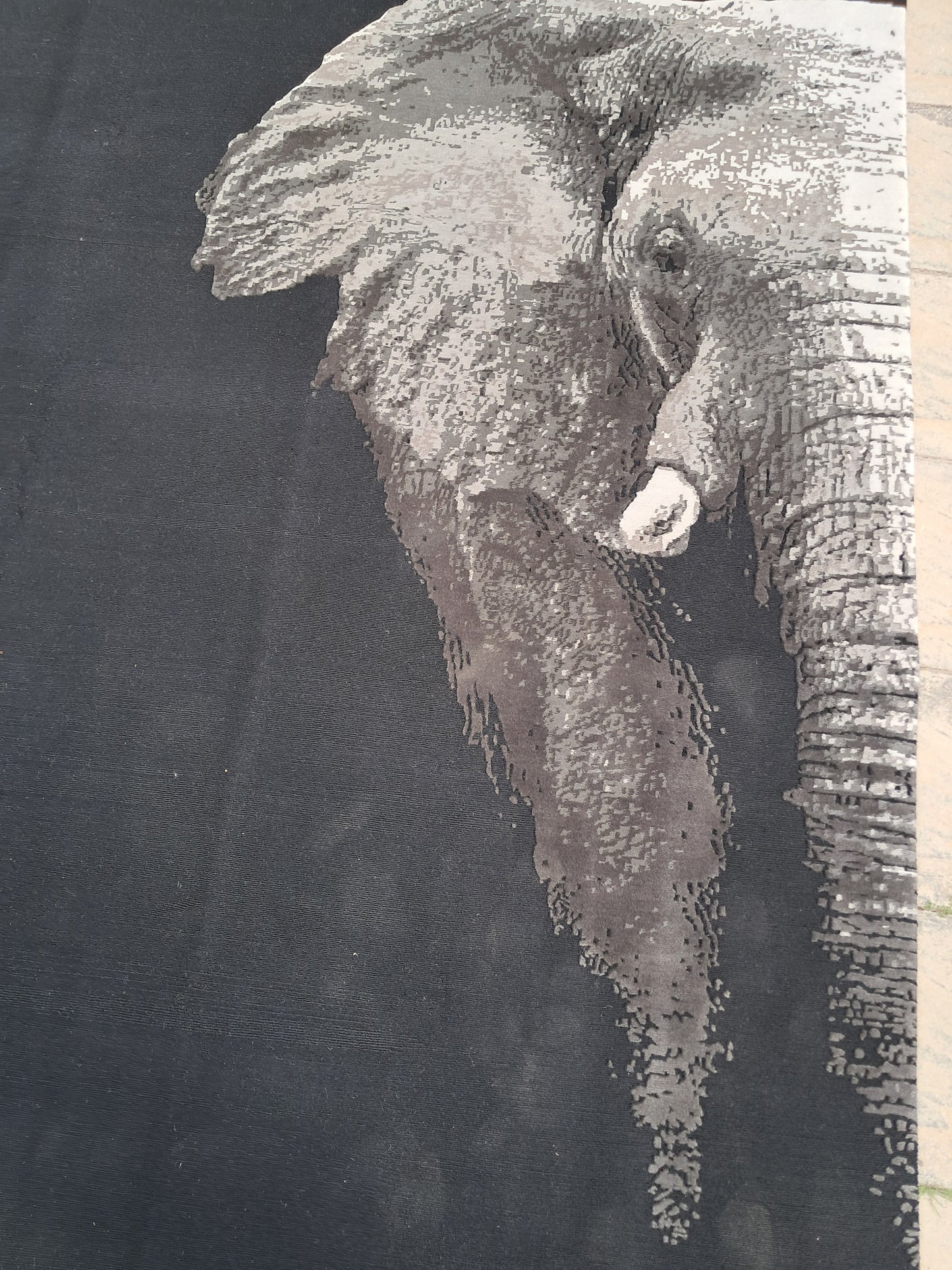 THE HALF ELEPHANT