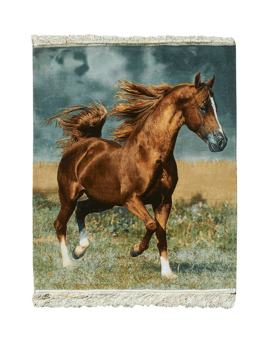 ARABIAN STEED